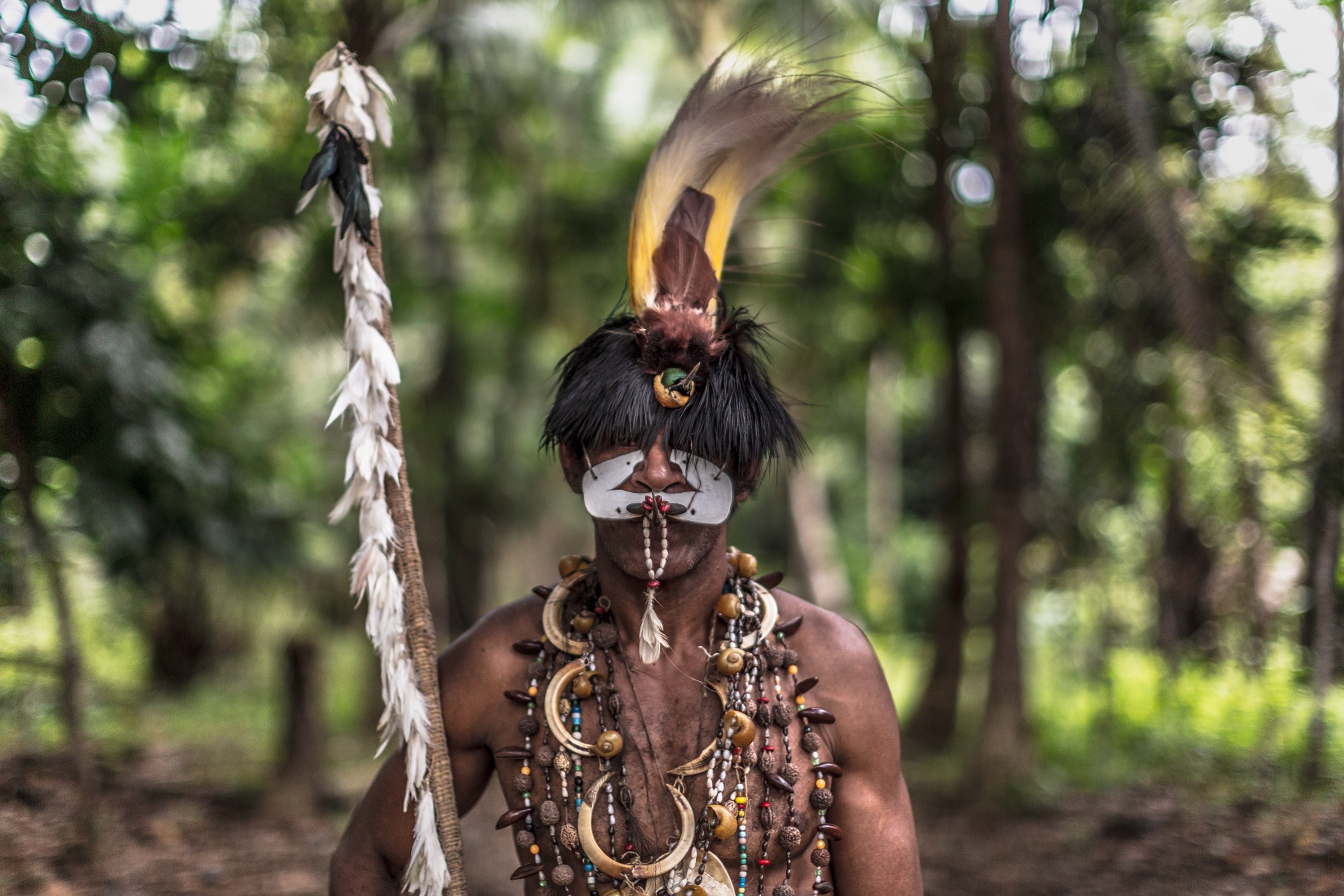 Hasrat Kita Pada Sawit Membuat Hutan Hujan Papua Kian Menipis