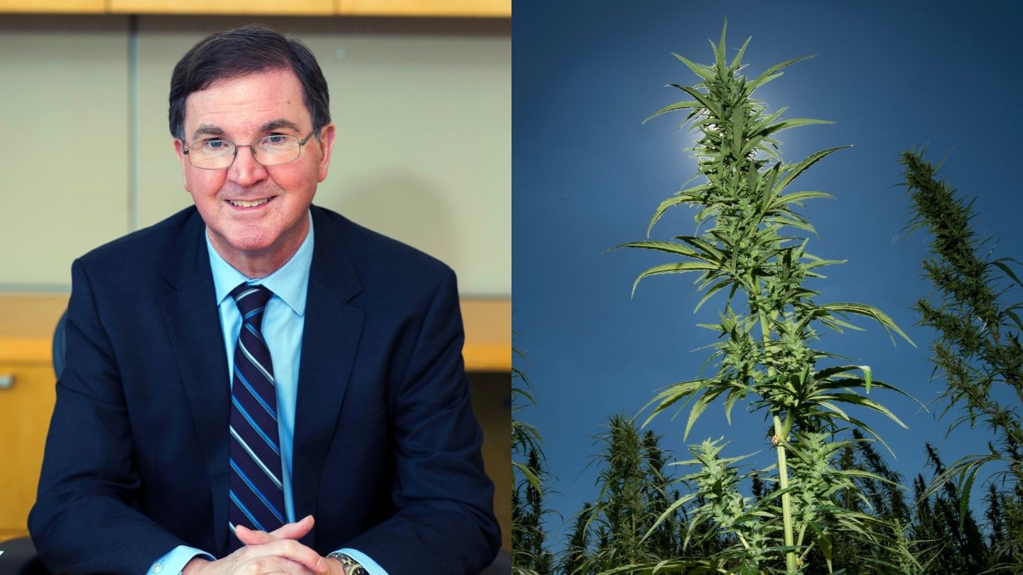 A Q&A With the Scientist Who Discovered Cannabis Can Prevent COVID-19 thumbnail