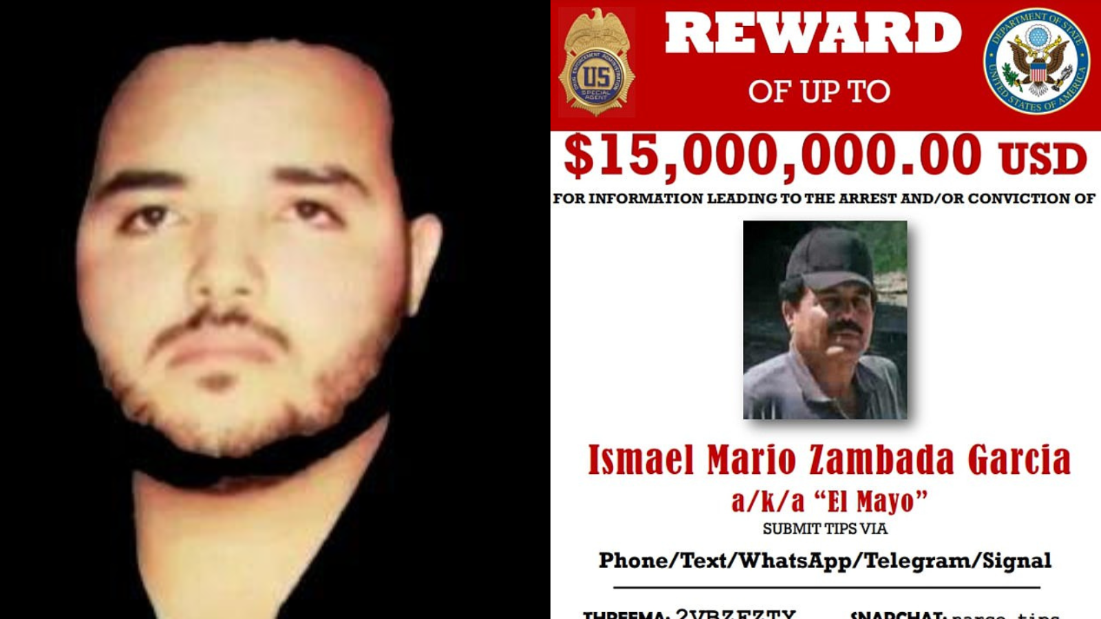 Sinaloa Cartel Leader El Mayos Gordo Son Got Off Light In A Us Co 1363