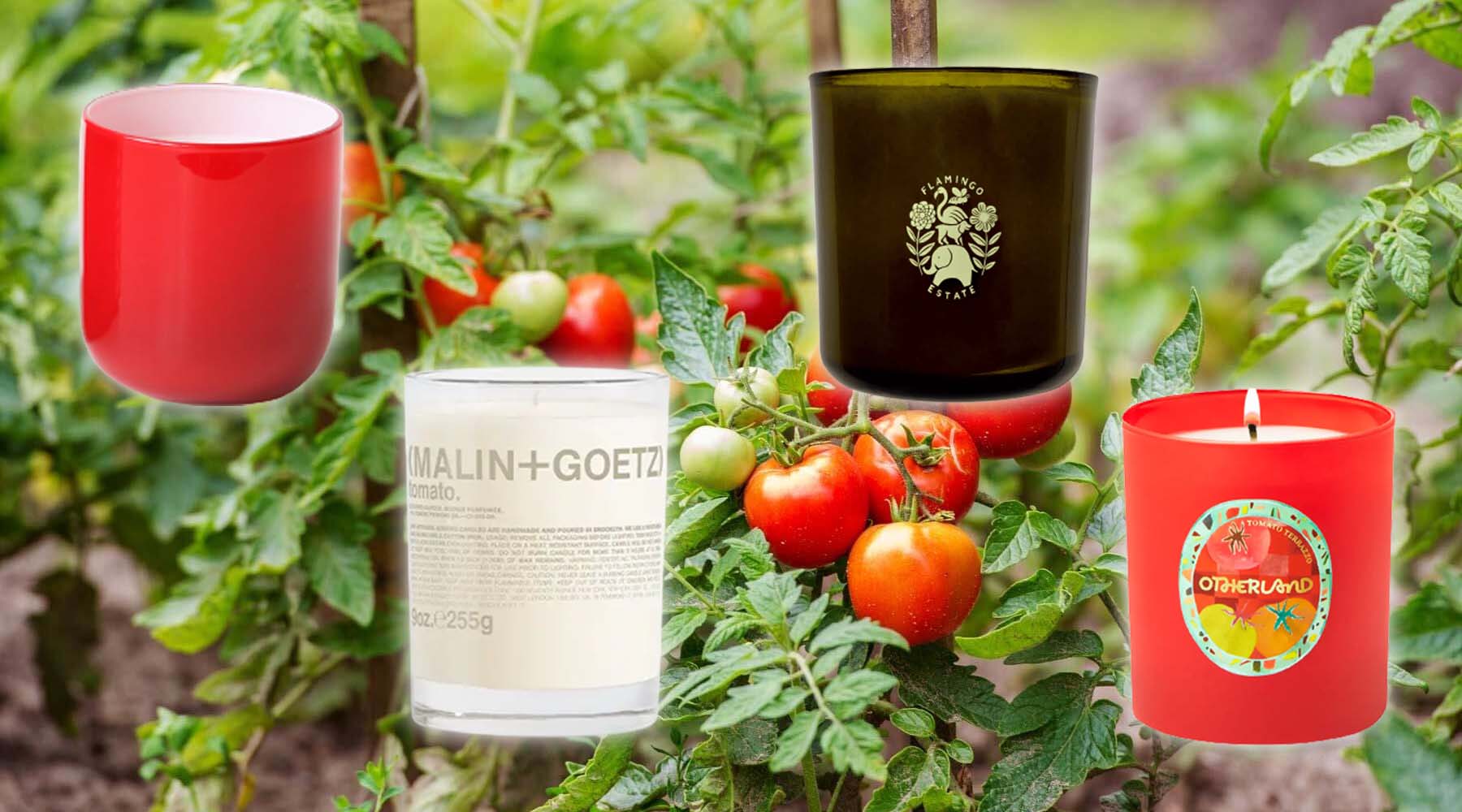 Tomato-Scented Candles Are Suddenly Everywhere—and These Ones Are the Best thumbnail