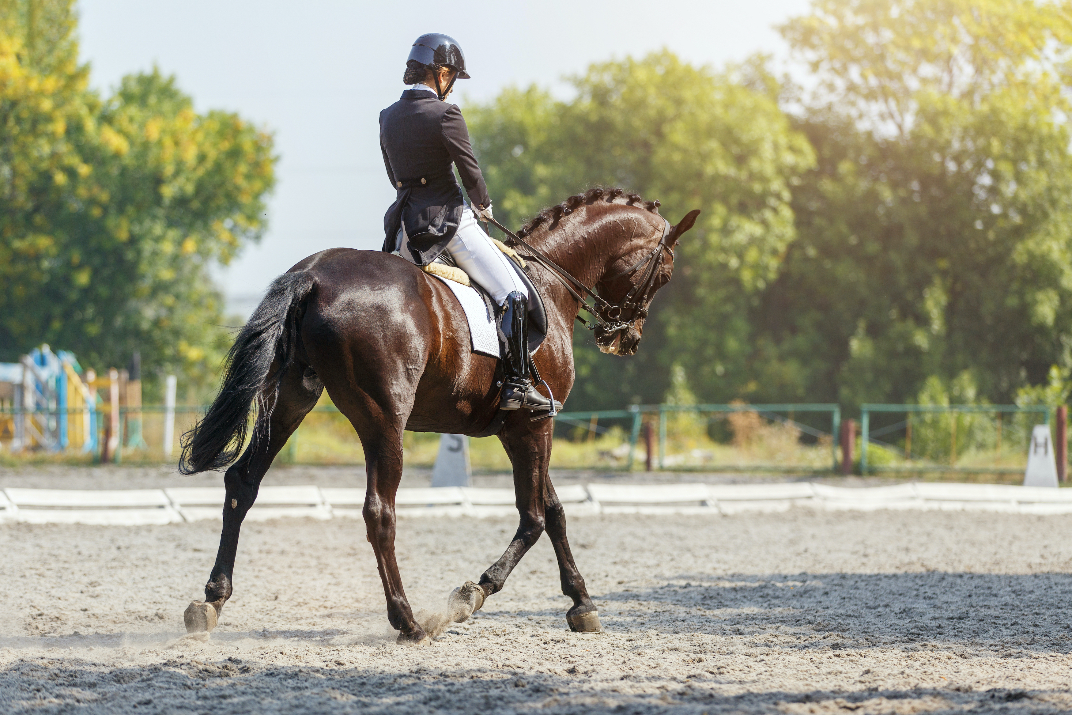 We Asked an Expert How Many Times It's OK to Whip a Horse in the Space of One Minute