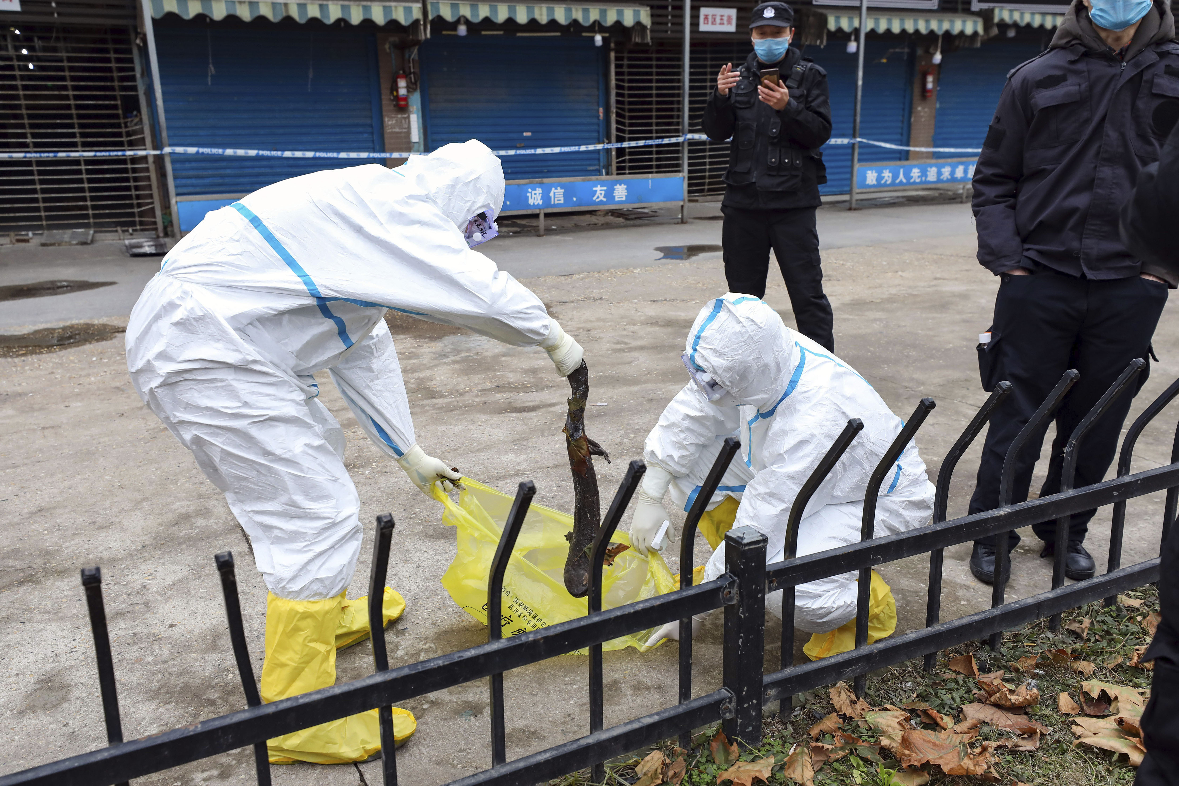 , China Destroyed COVID-19 Evidence, Says Doctor Who Investigated Wuhan Cases, Saubio Making Wealth