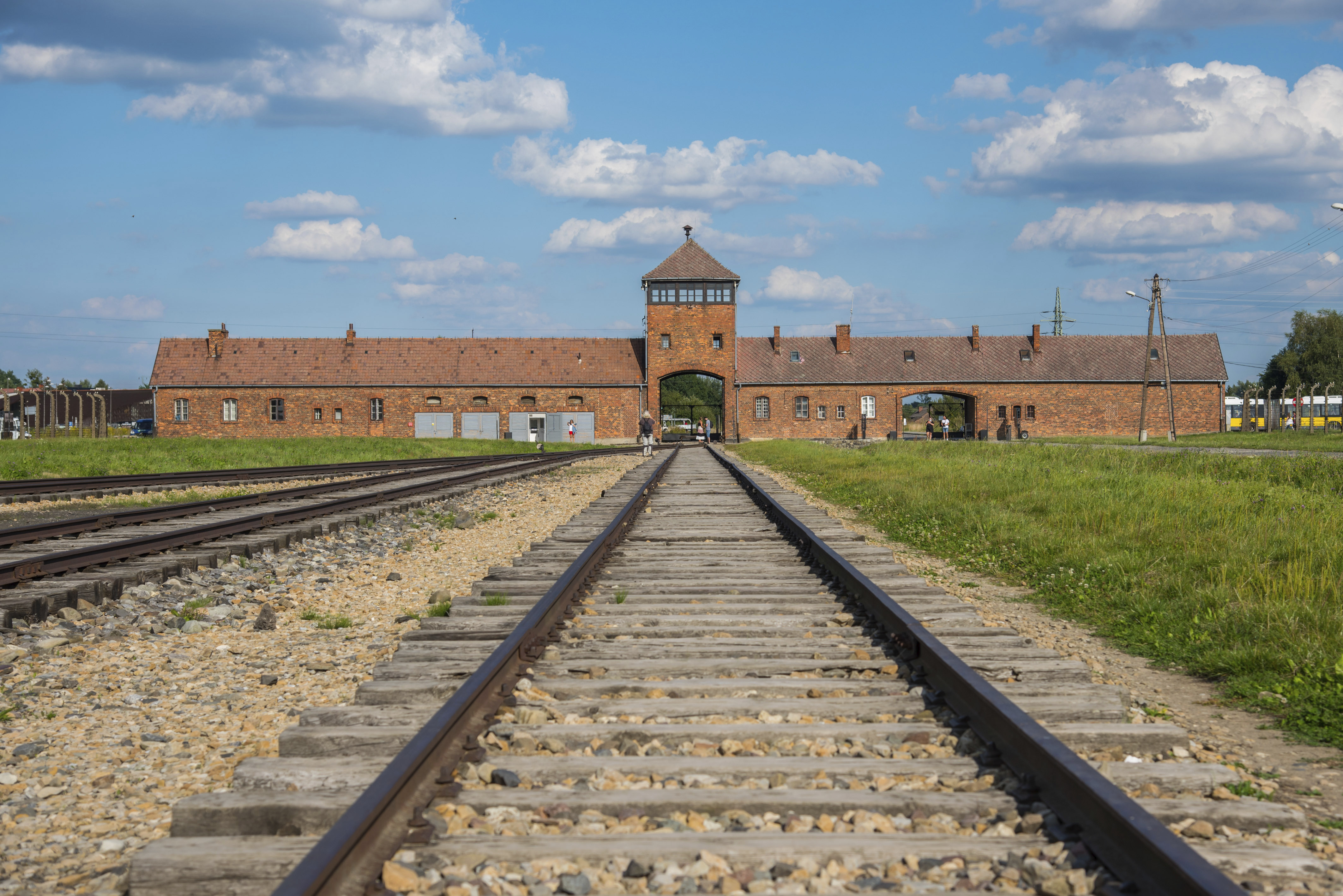 , Almost a Quarter of Young Americans Think The Holocaust Is a Myth or Exaggerated, Saubio Making Wealth