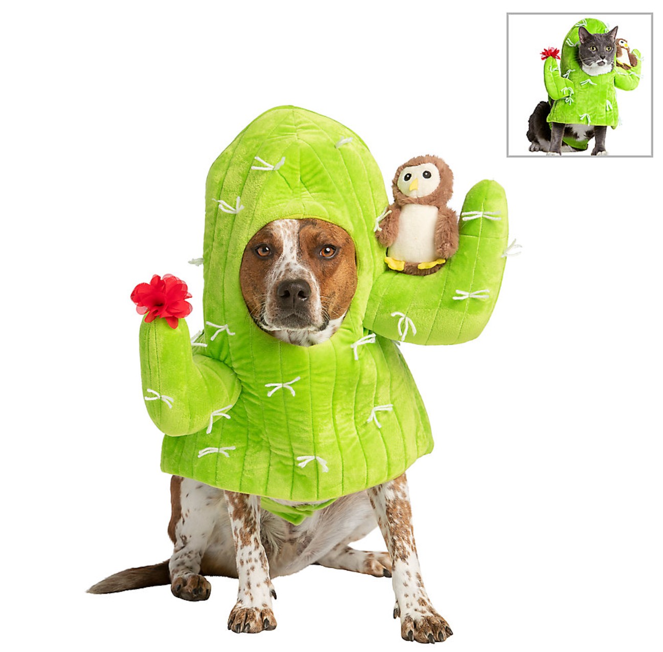  Verceco Halloween Costumes for Dogs Cute Halloween Pet