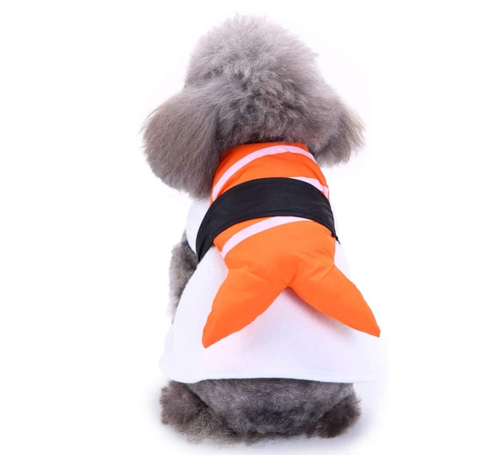 10 Best Pet Costumes – Veterinarians in Leesburg