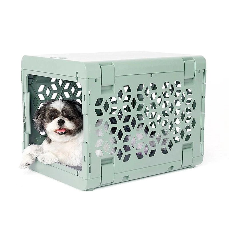 Your Go-To Guide to Safe (and Chic) Puppy Proofing