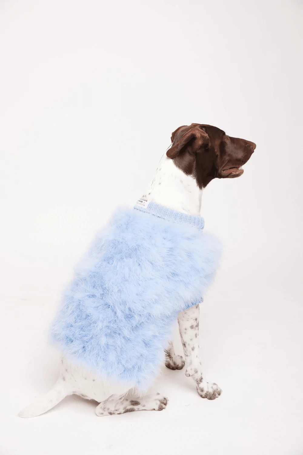 Make Way For Luxury Pet Accessories And Fashion From The Finest