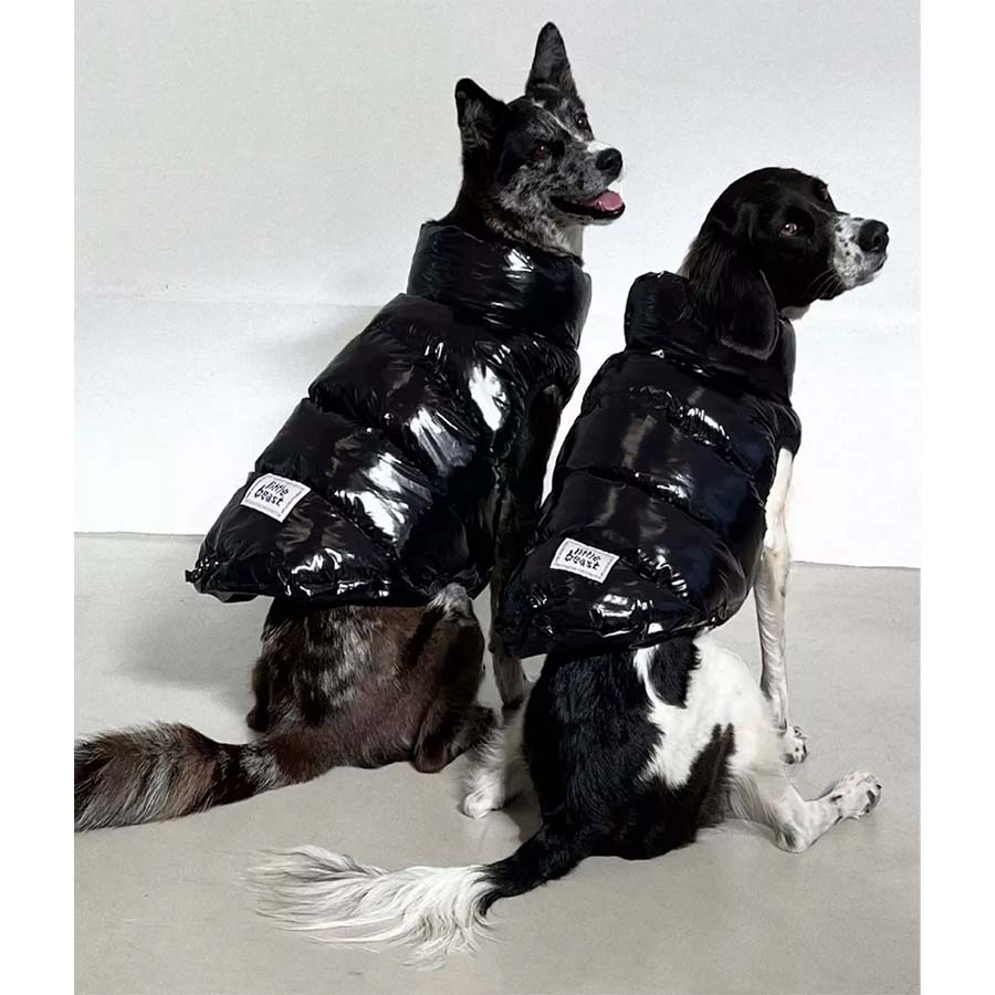 Meet Pagerie, the First Ultra-Luxury Pet Fashion Brand