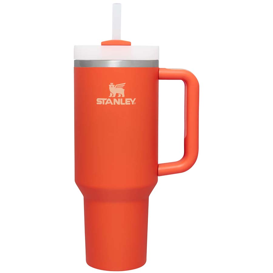 Worth The Hype? Is The Viral Mega Stanley Quencher Cup Worth Its
