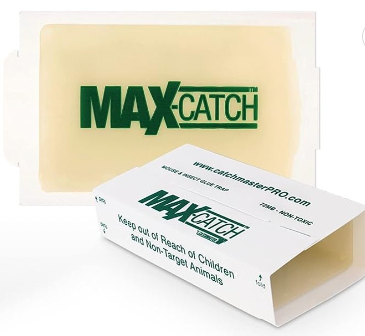 MAX-CATCH, professional sticky trap