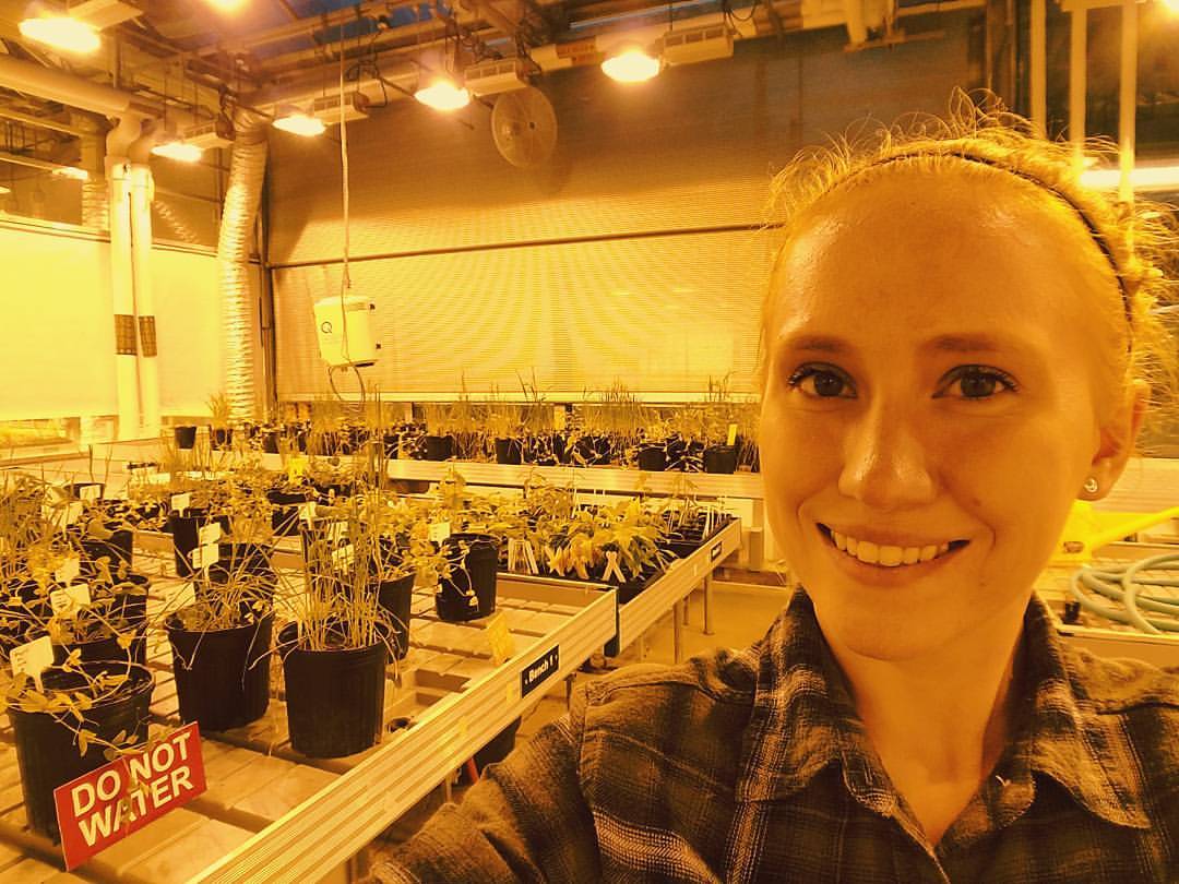 Growing plants on a simulated Mars