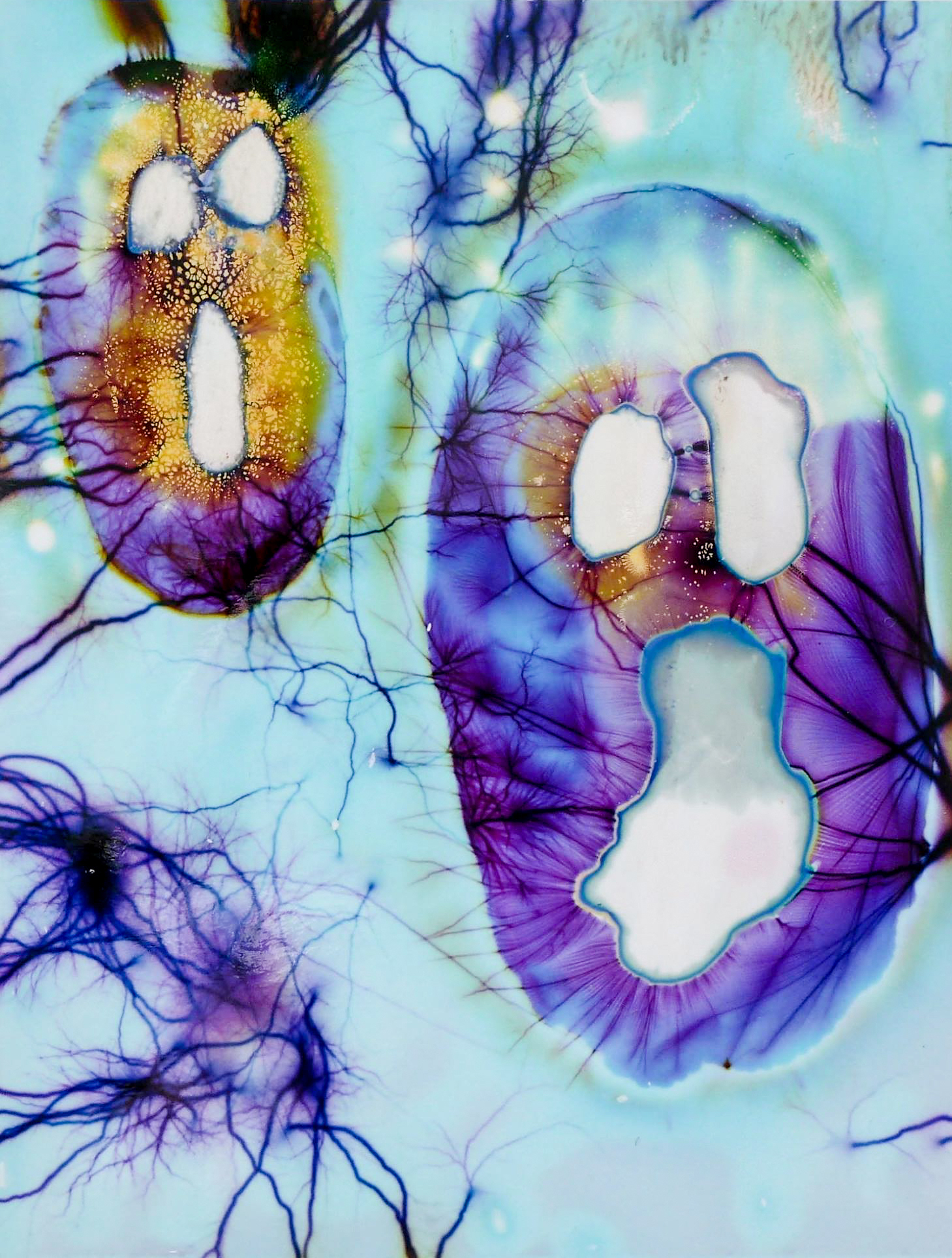 Our souls are captured in the electromagnetic field