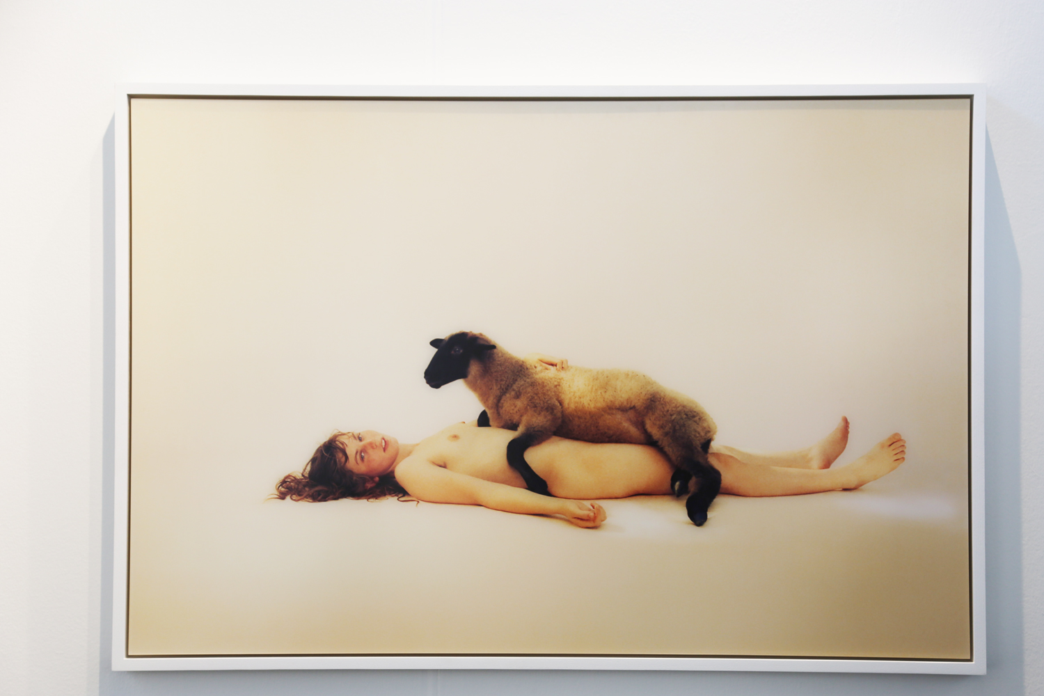 Lying Lamb, 2011, Ryan McGinley, Ratio 3, San Francisco. Image by the author.