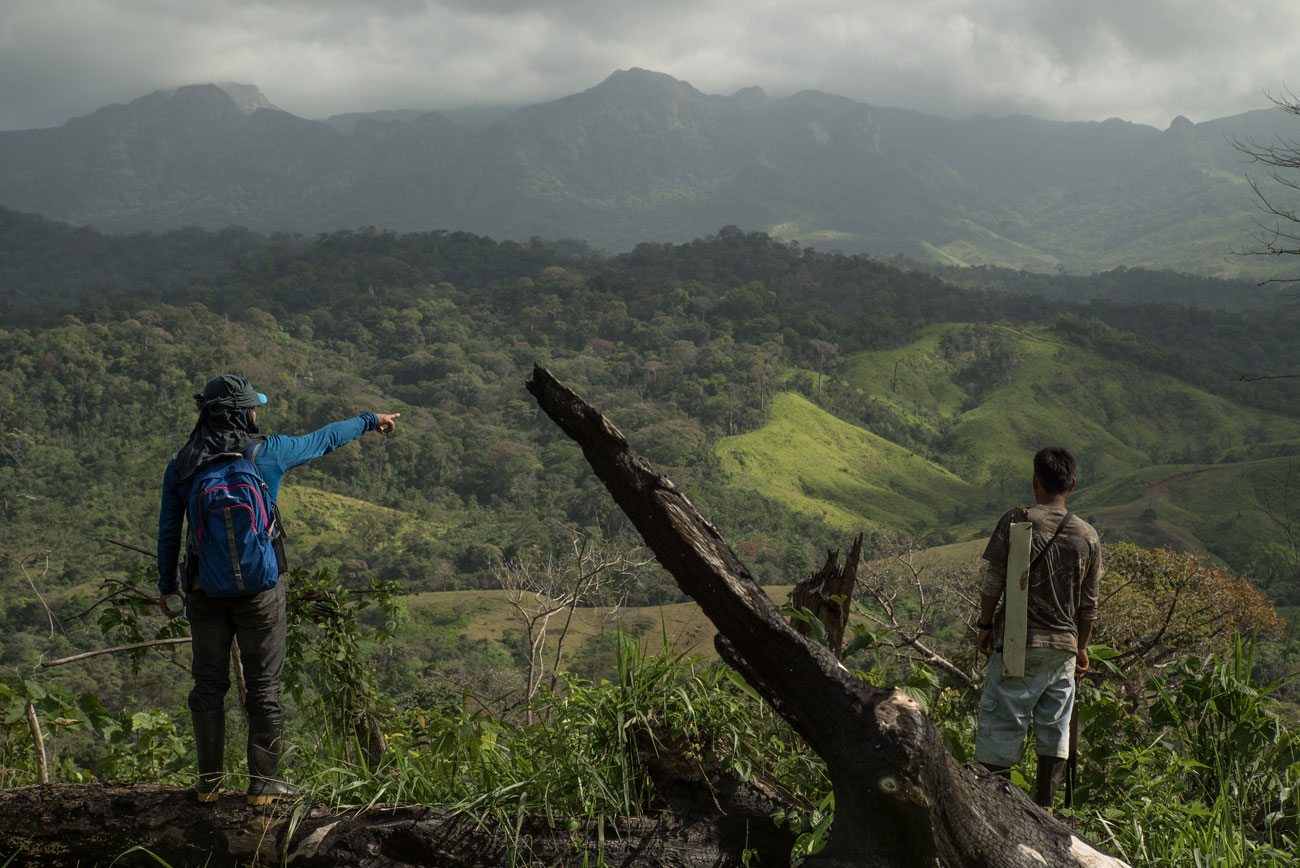 One of the main causes of deforestation in this region is land being cleared for cattle pasture. Two members of the monitoring team look across one such ranch prior to mapping it from the air.