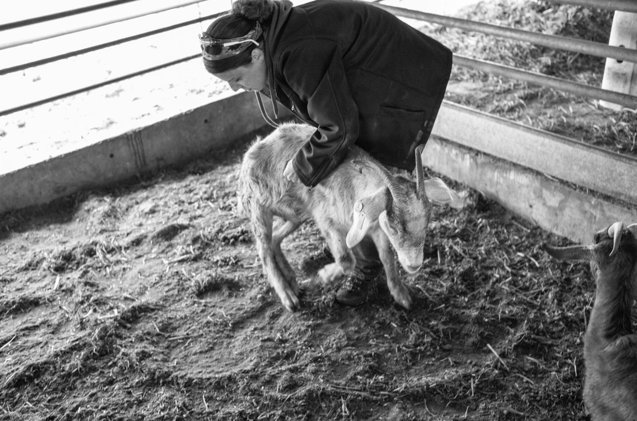 Striking Photos Document Life in Israeli Settlements on the West Bank