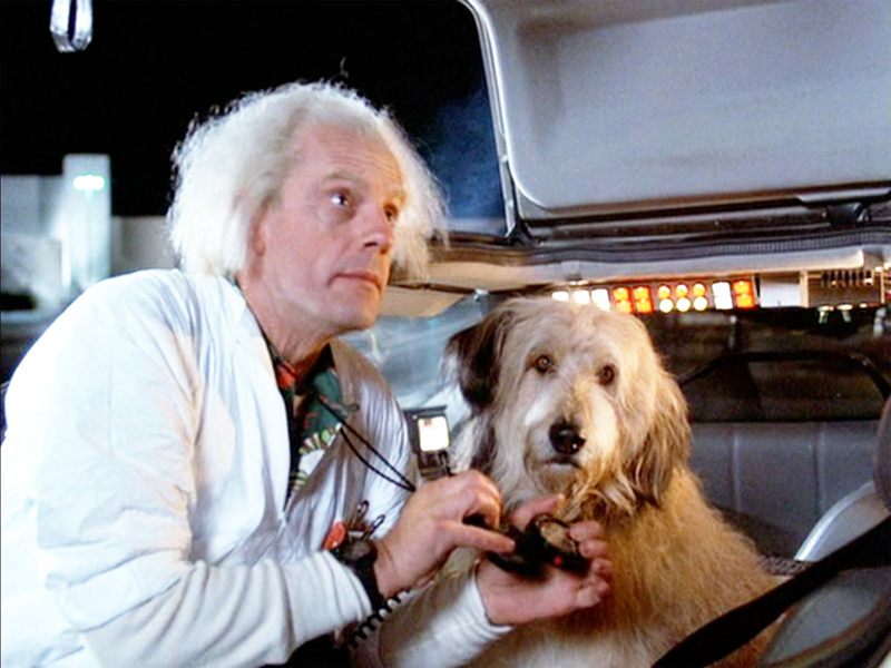 The Best Dogs In Science Fiction Motherboard