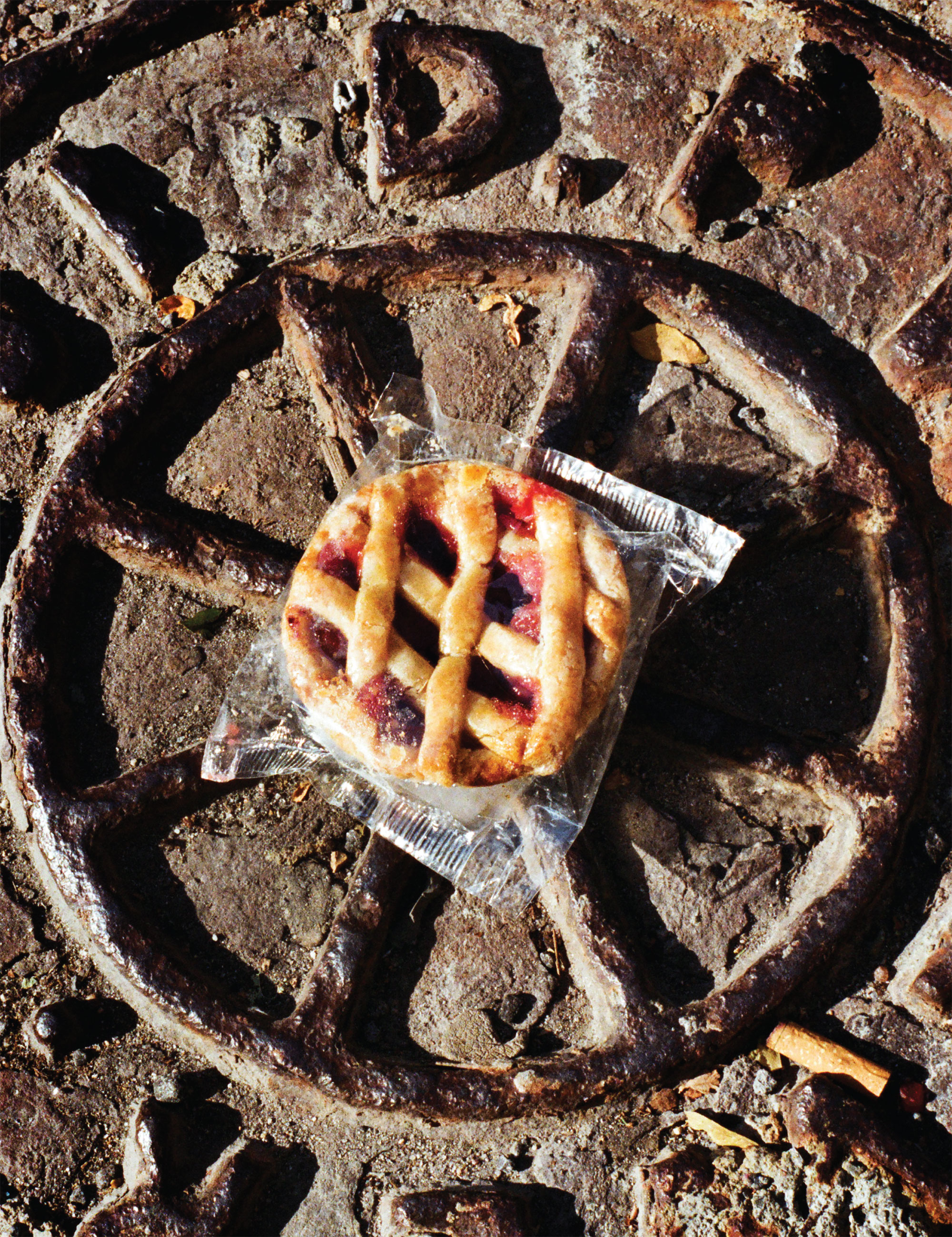 Blümchen, Schrott und Kuchen: Diese Fotos bringen zusammen, was nicht ...