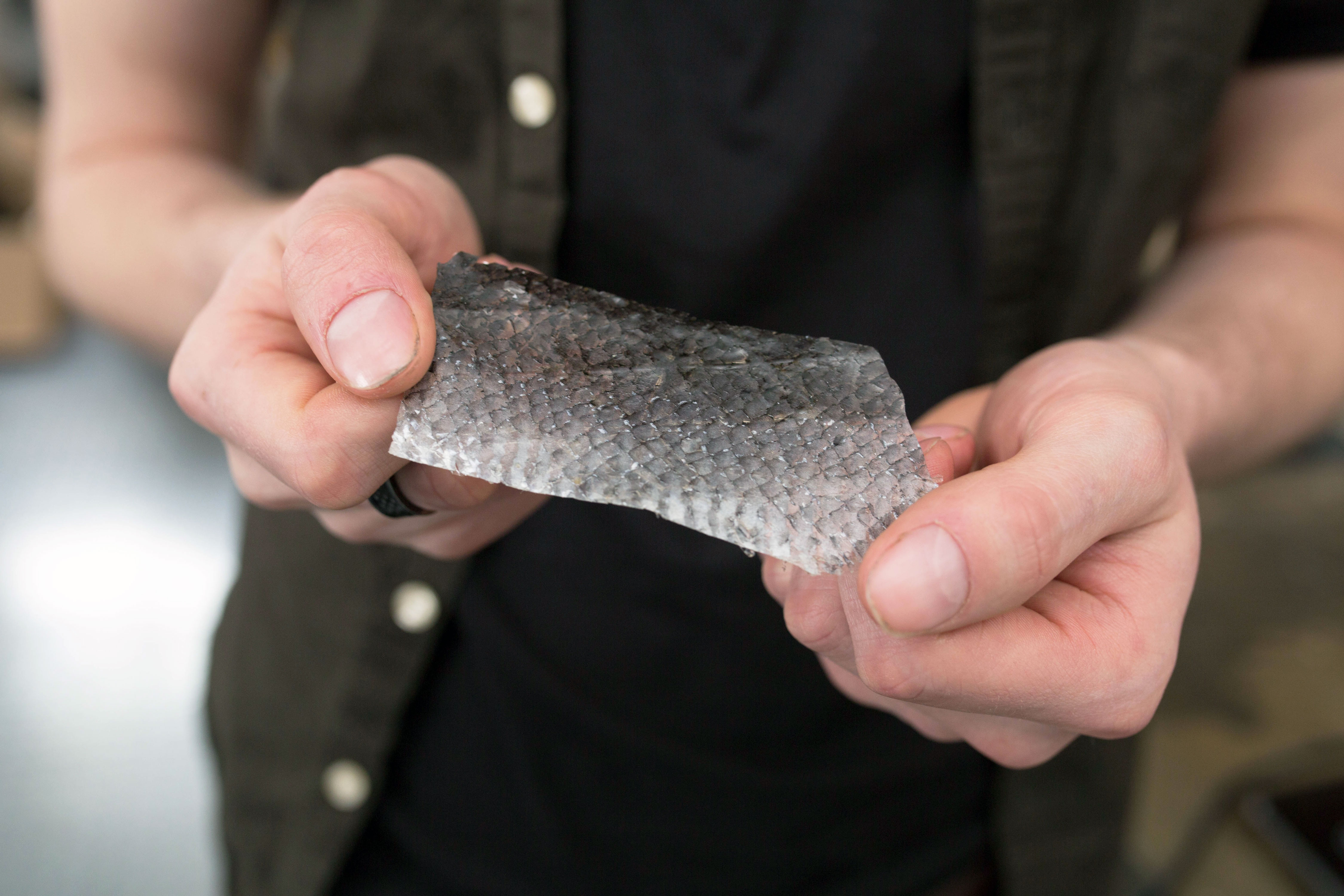 How Fish Skin Crisps Could Solve Britain's Seafood Waste Problem VICE