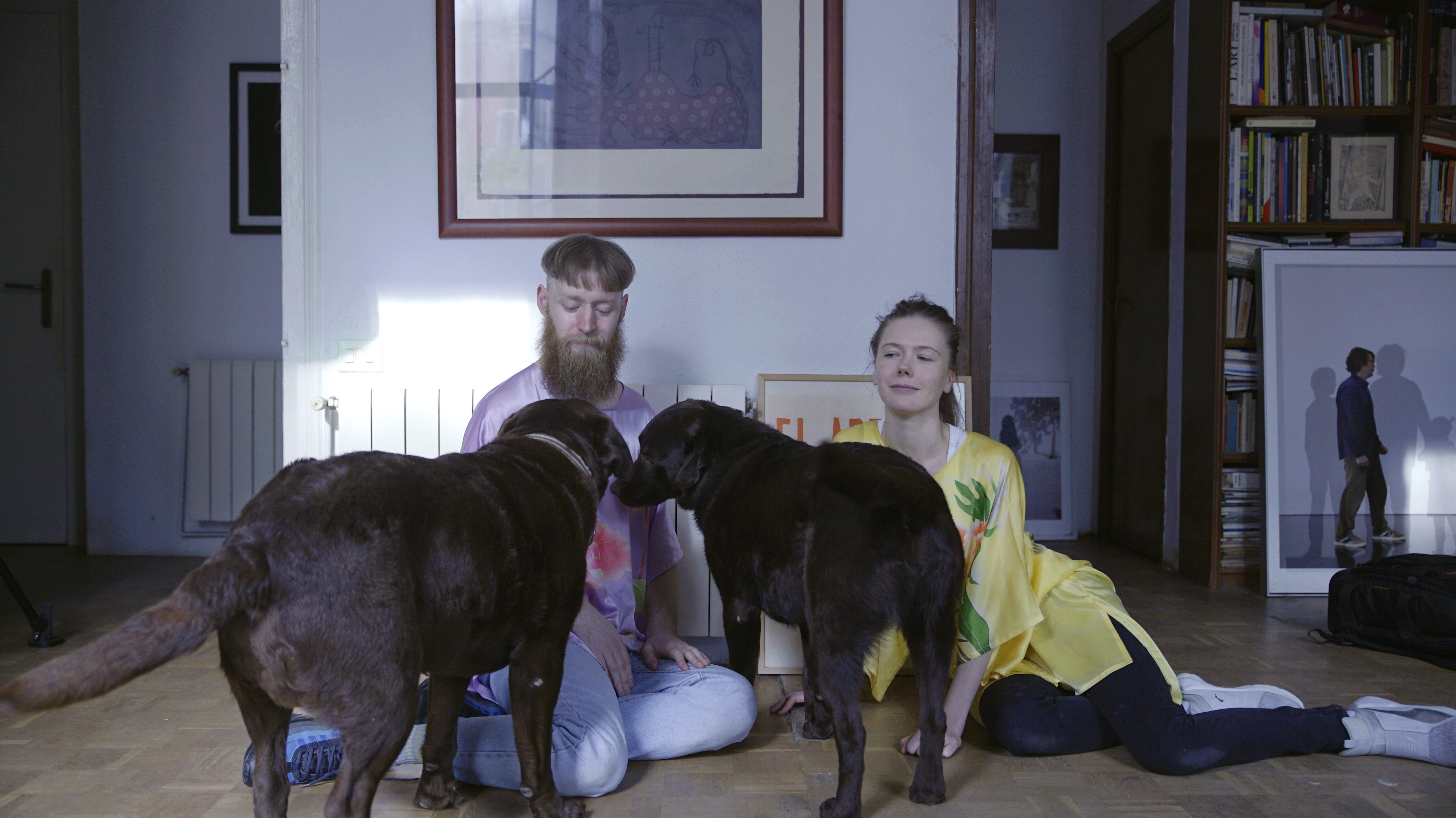 performances for pets mascotas animales