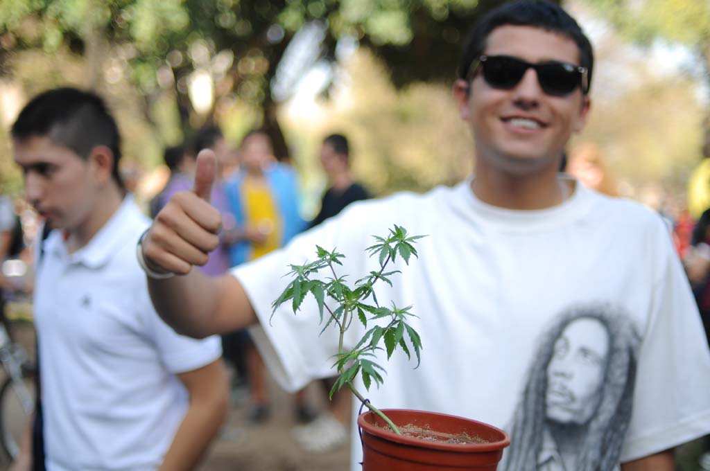 Marihuana