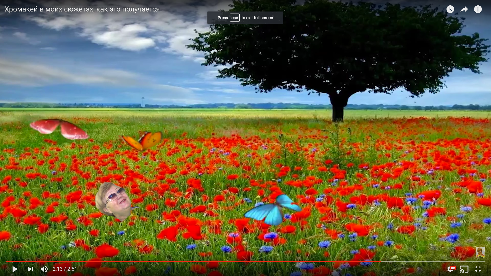 Foto: Screenshot YuoTube