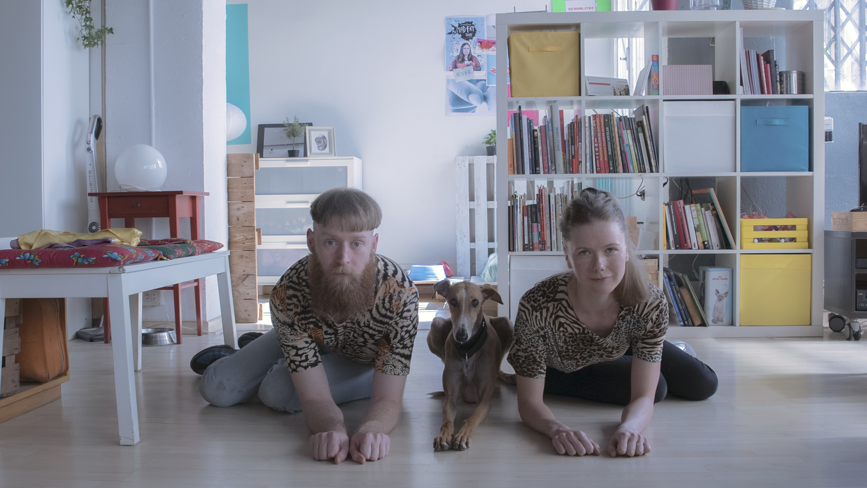 performances for pets mascotas animales