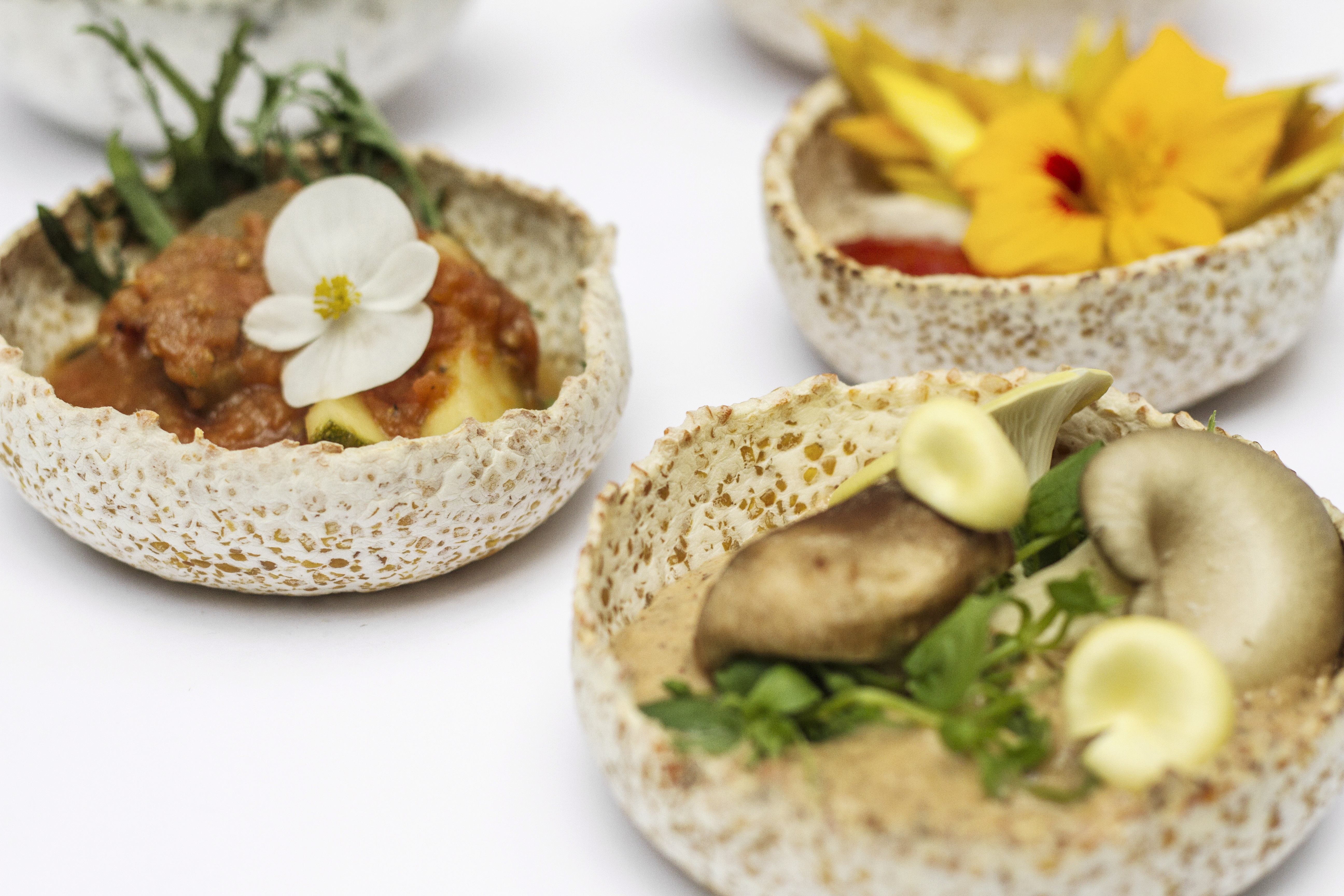 Bakjes van gefermenteerde lupine. Alle foto's met dank aan Iris van Hulst en Mediamatic.