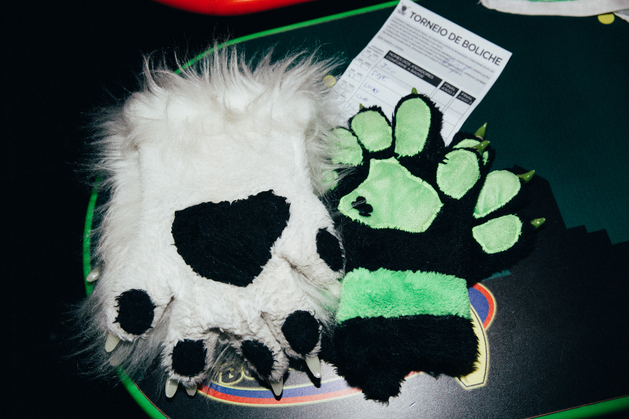 1493998094070-Furries-Larissa-Zaidan-26