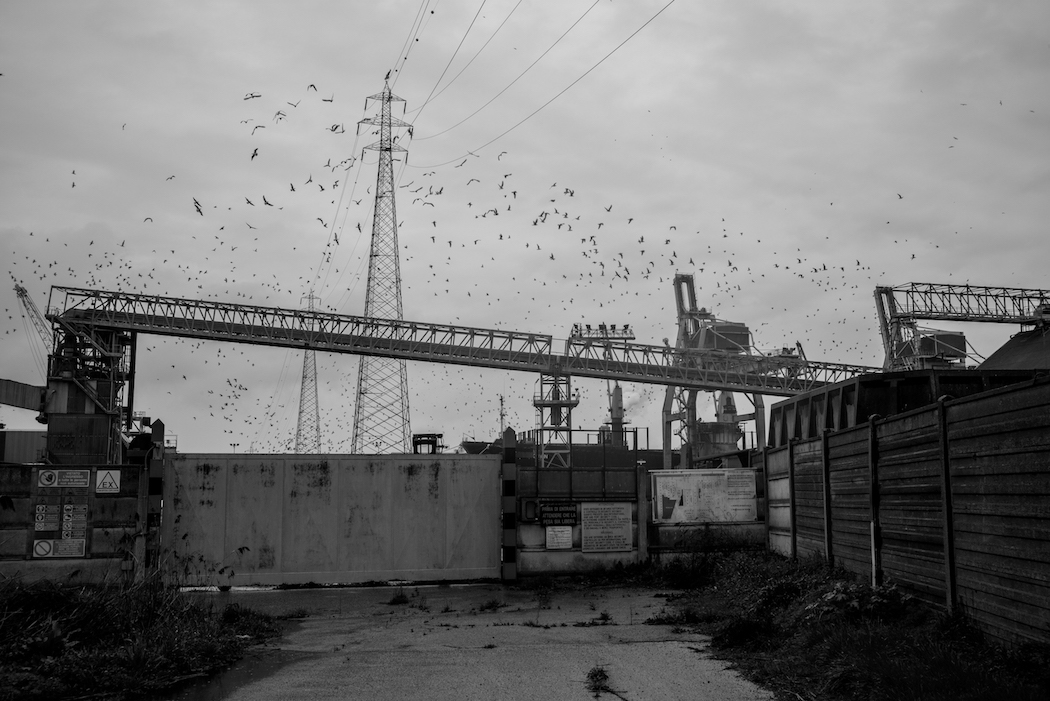 adriano zanni intervista red desert chronicles boring machines ravenna fotografia industriale