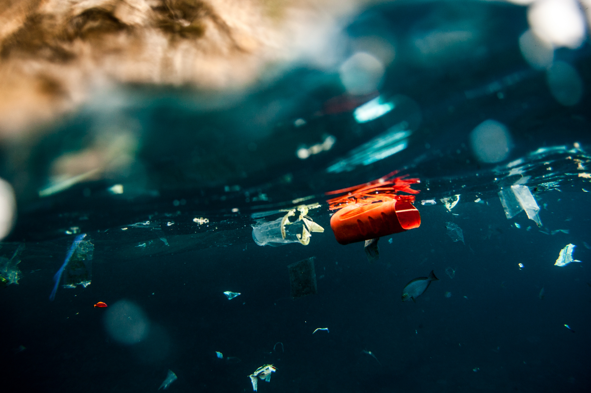 Photo via Nick Pumphery