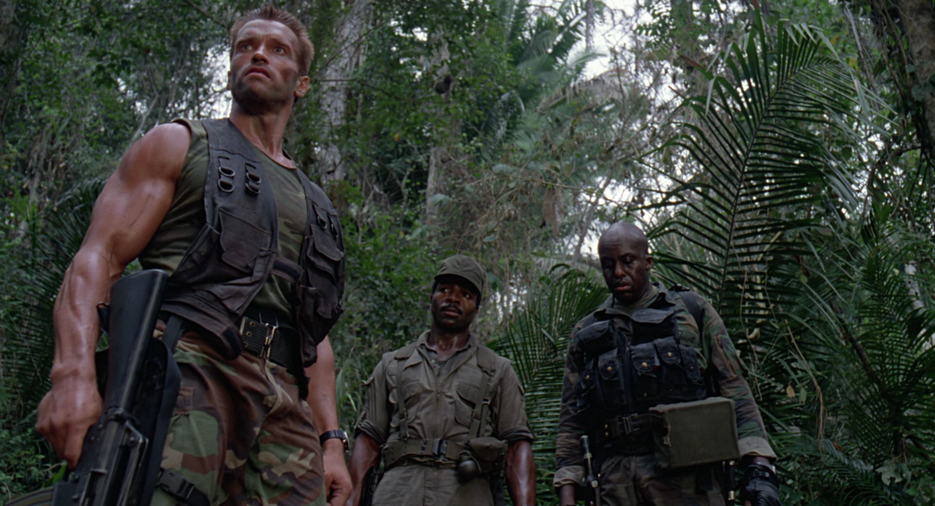 Does 'Predator' Actually Suck?