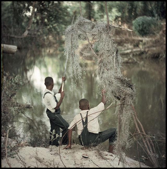Untitled, Shady Grove, Alabama, 1956