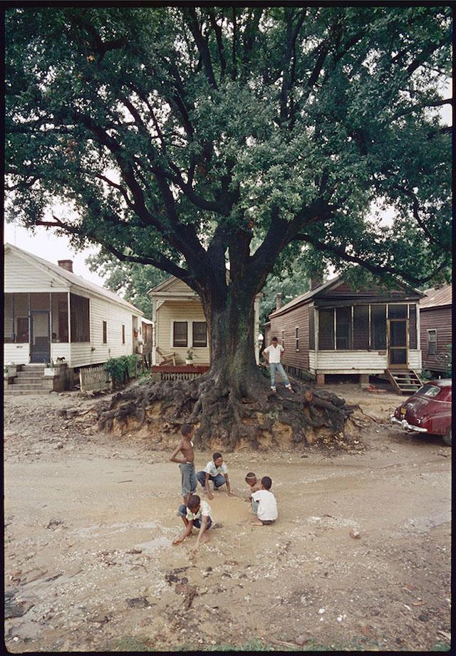Children At Play, Mobile, Alabama, 1956