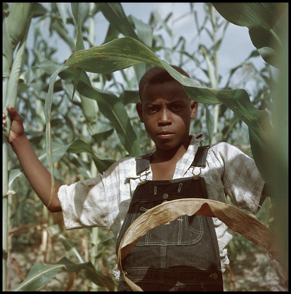 Untitled, Shady Grove, Alabama, 1956