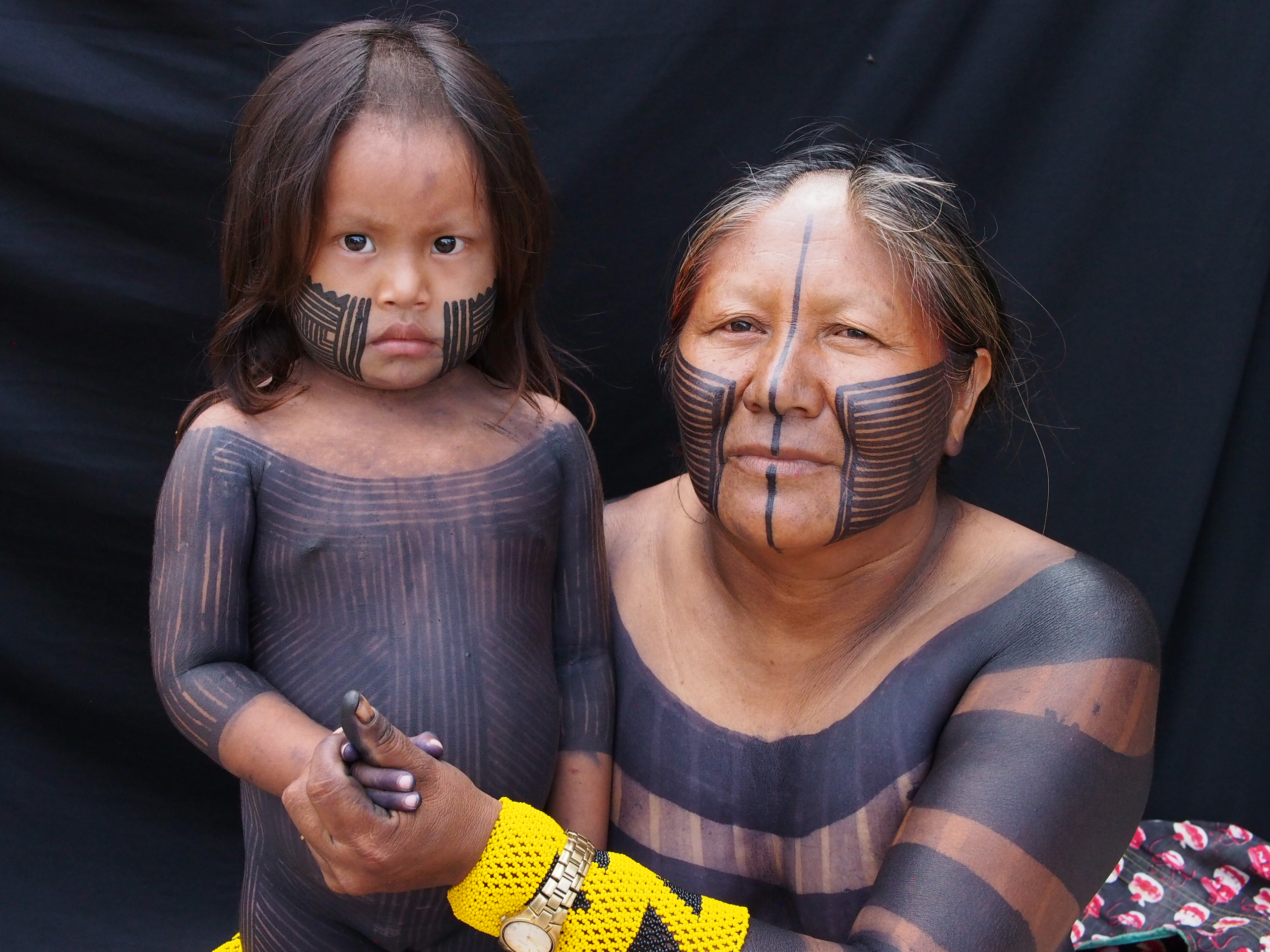 This Is My Land': The Indigenous Women Chiefs Protecting the Amazon.