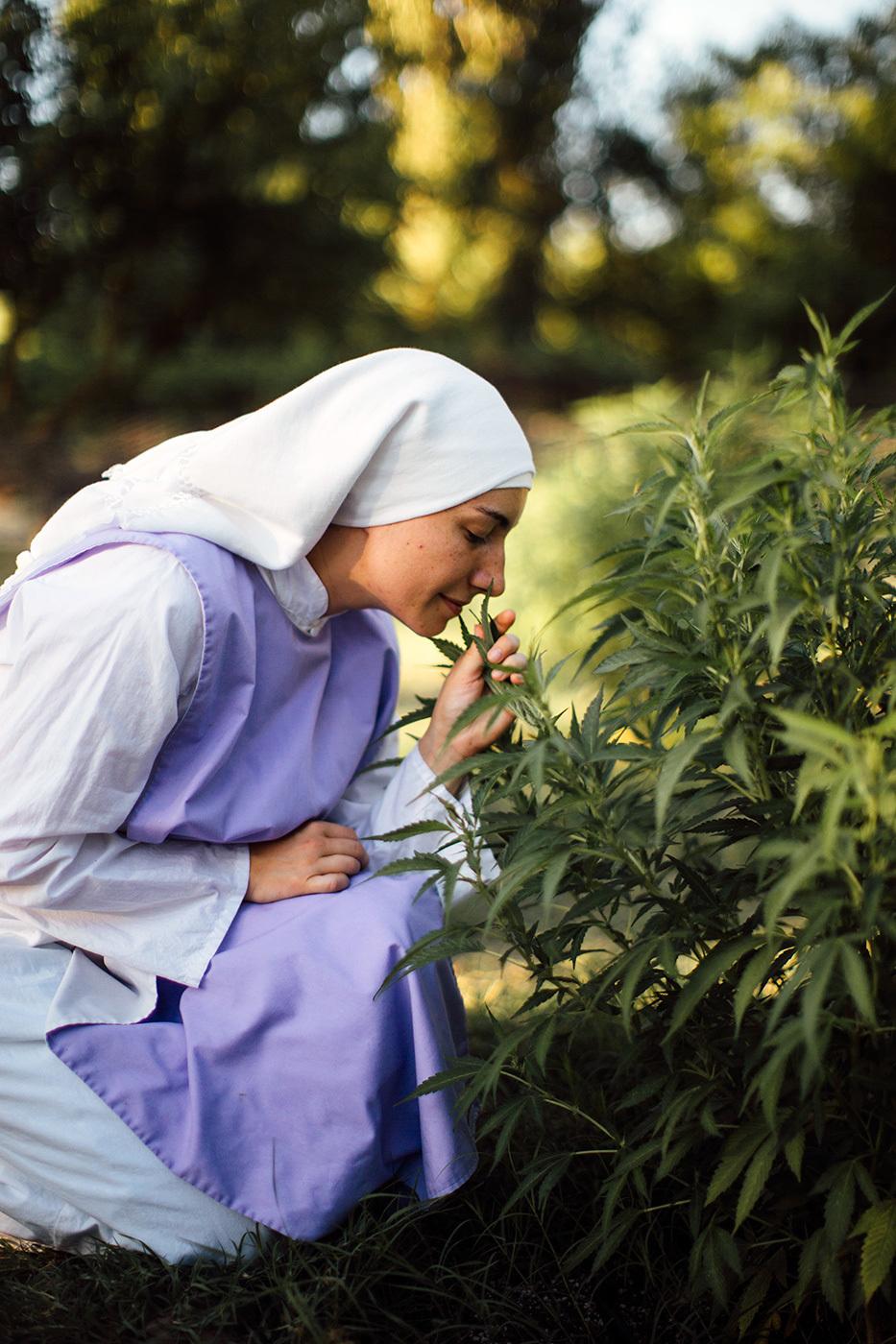 monjas marihuana porros california estados unidos cannabis