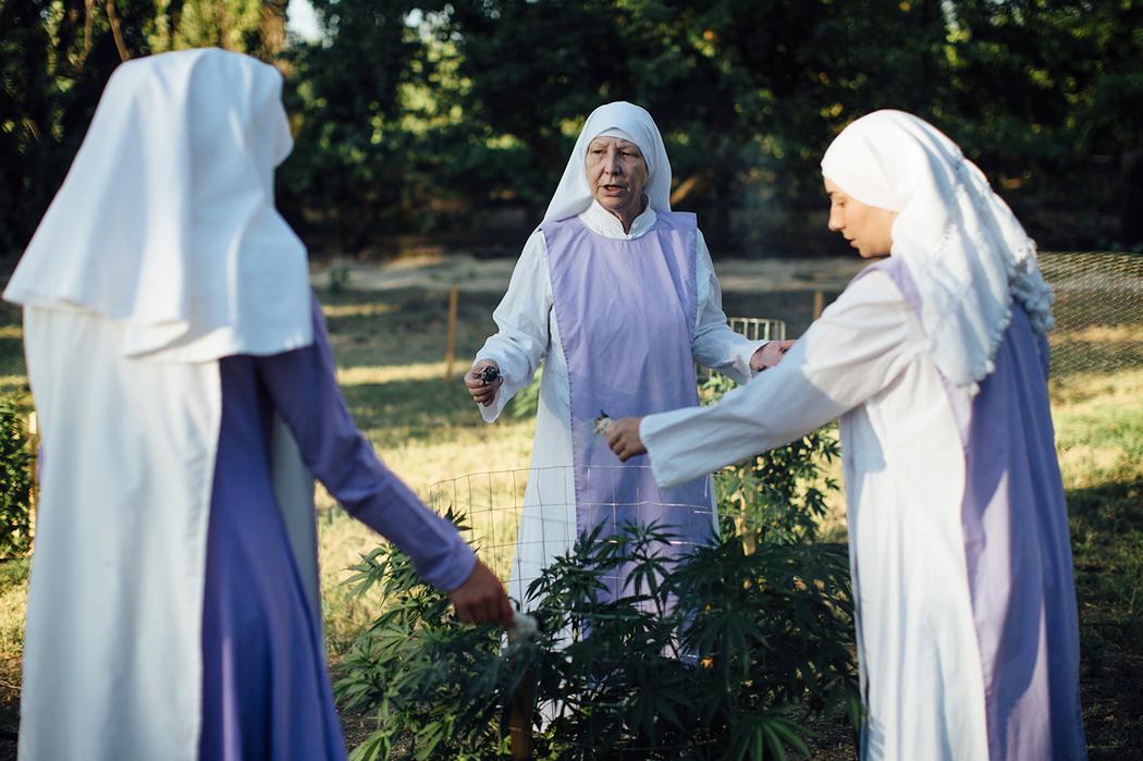 monjas marihuana porros california estados unidos cannabis