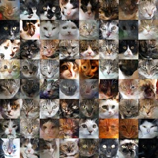 This Deep Learning AI Generated Thousands of Creepy Cat Pictures ...