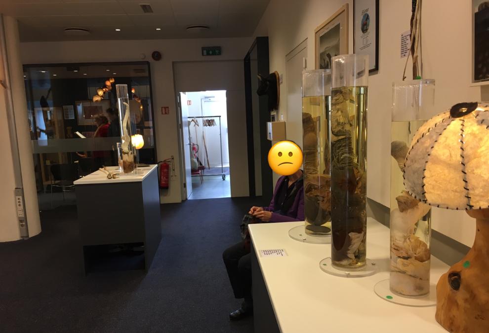 Ik sleepte mijn ouders mee naar een pikkenmuseum en dat was niet