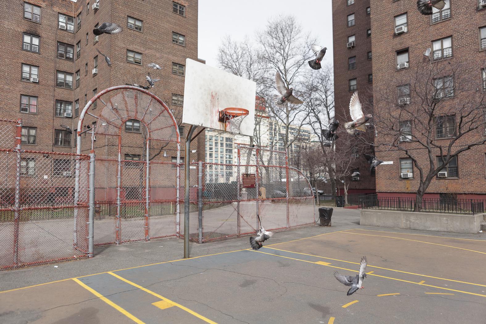 Rooftop Basketball Court Nyc Bindu Bhatia Astrology