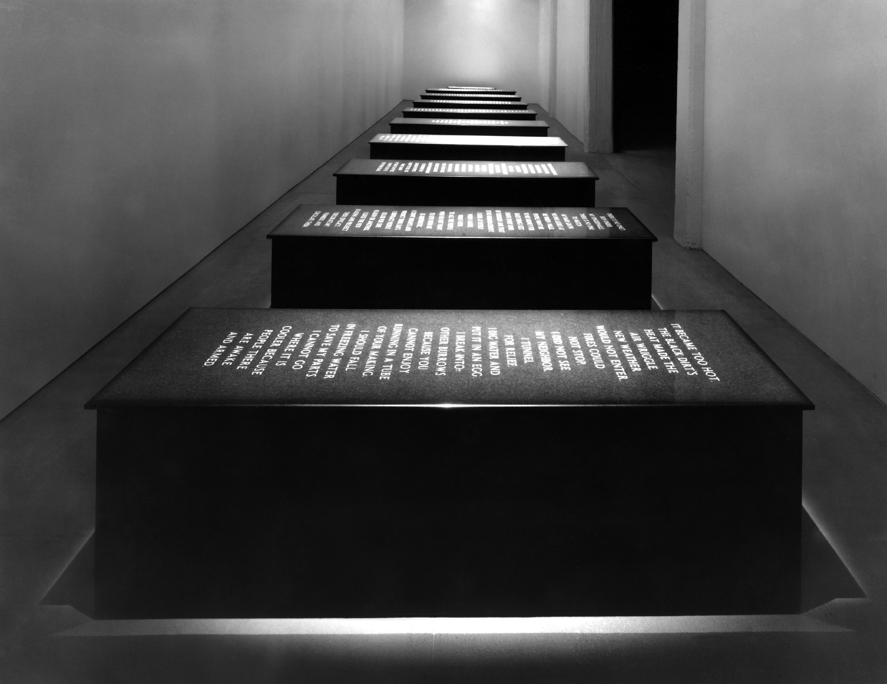 Helmut Lang & Jenny Holzer  Jenny holzer, Installation art, Skin photo