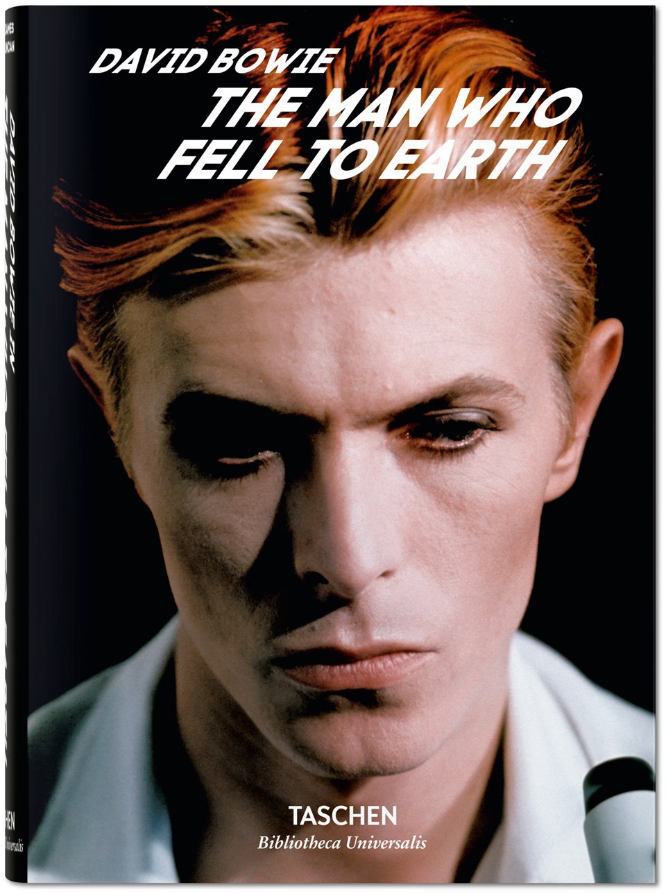 デヴィッド・ボウイ B2 ポスター 地球に落ちて来た男 David Bowie 
