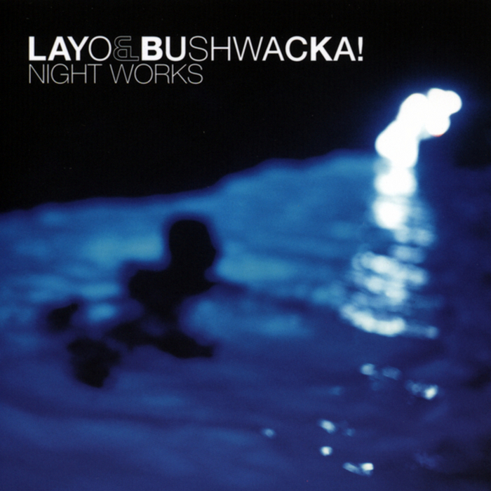 portada album layo bushwacka!