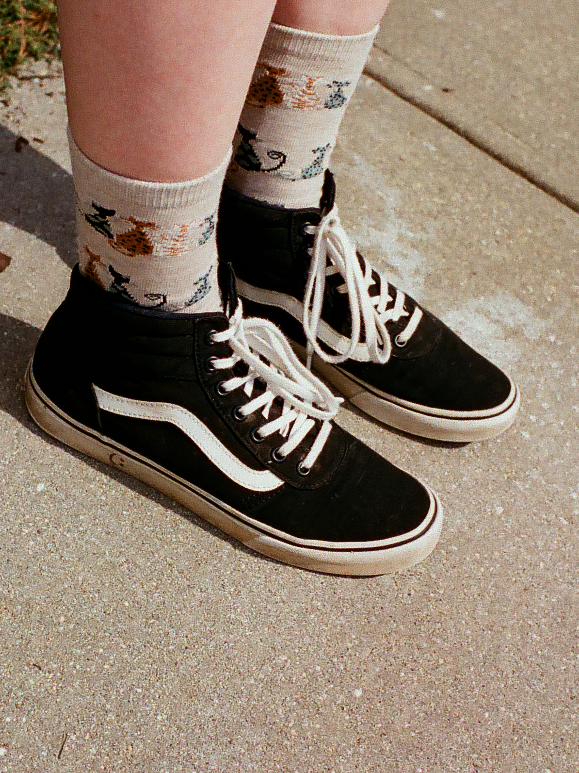 vans sk8 skull