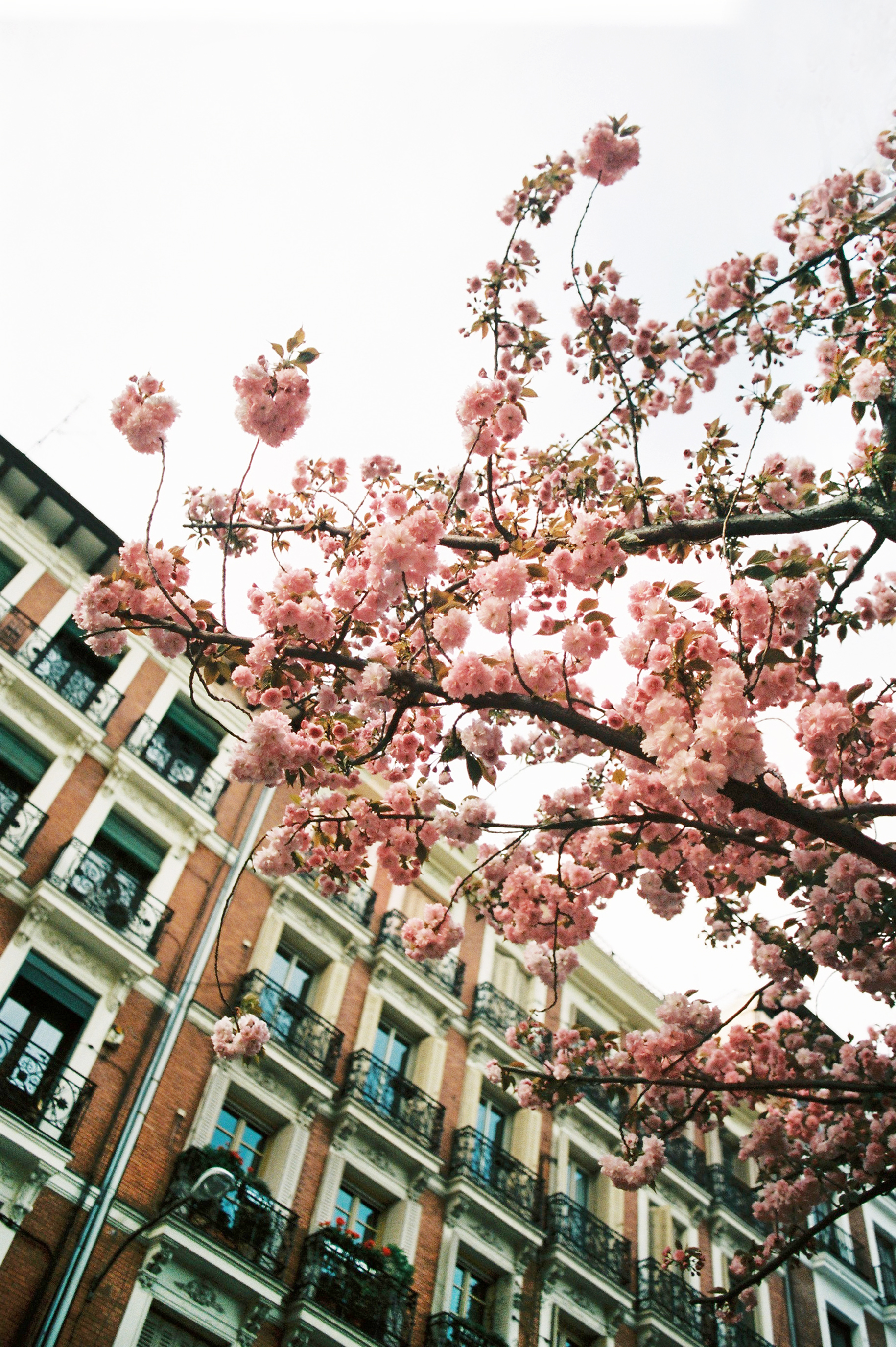 laia sabaté fotógrafa madrid
