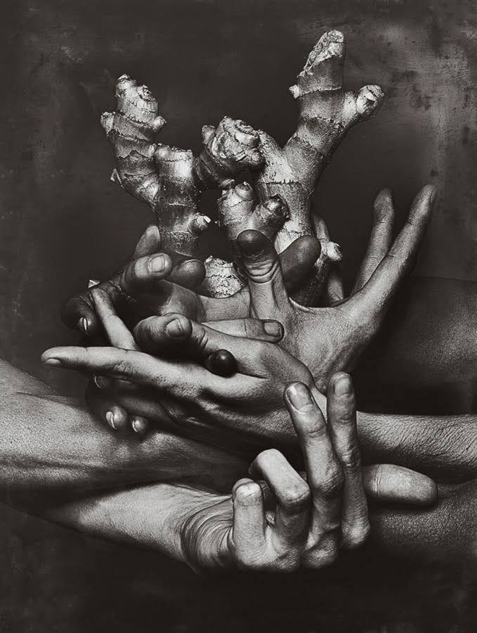 Rahi Rezvani fotografía