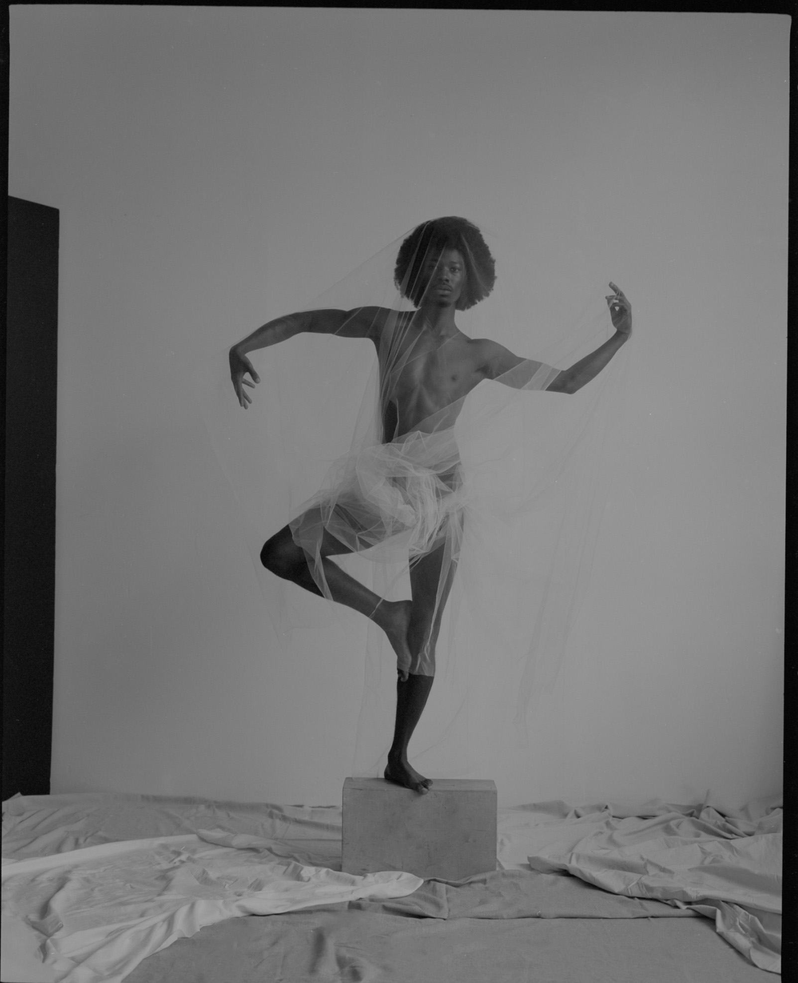 camila falquez fotografia masculinidad negra radical softness