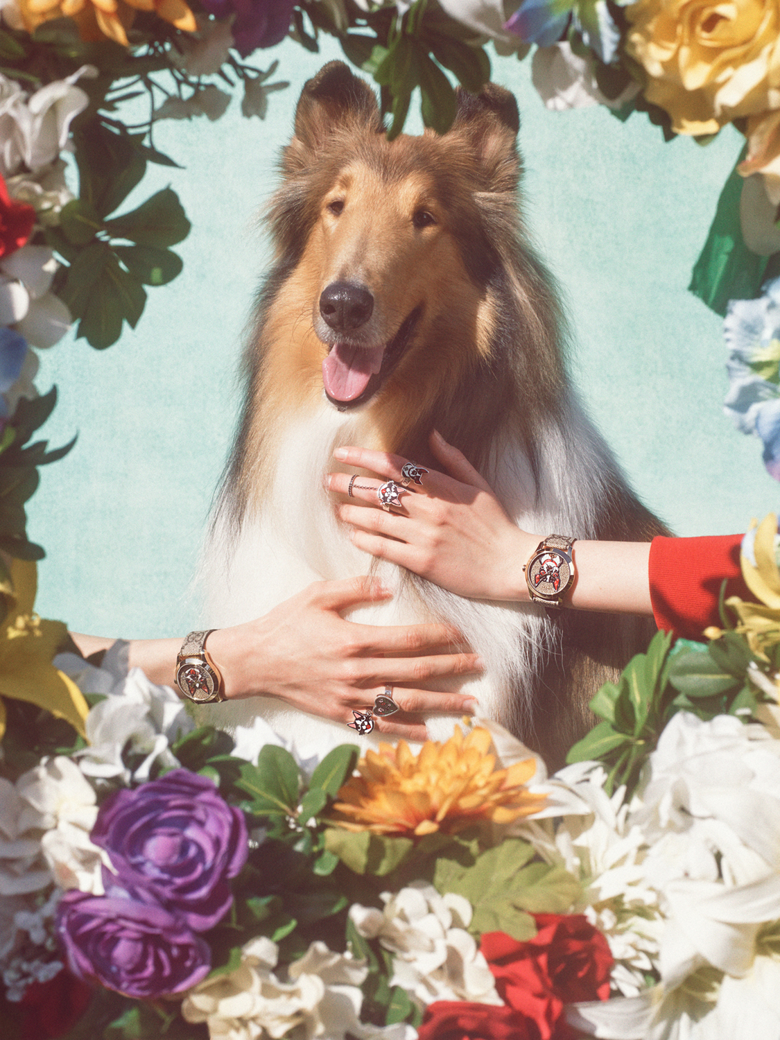 Gucci's 'Year of the Dog' campaign is here and it's fronted by