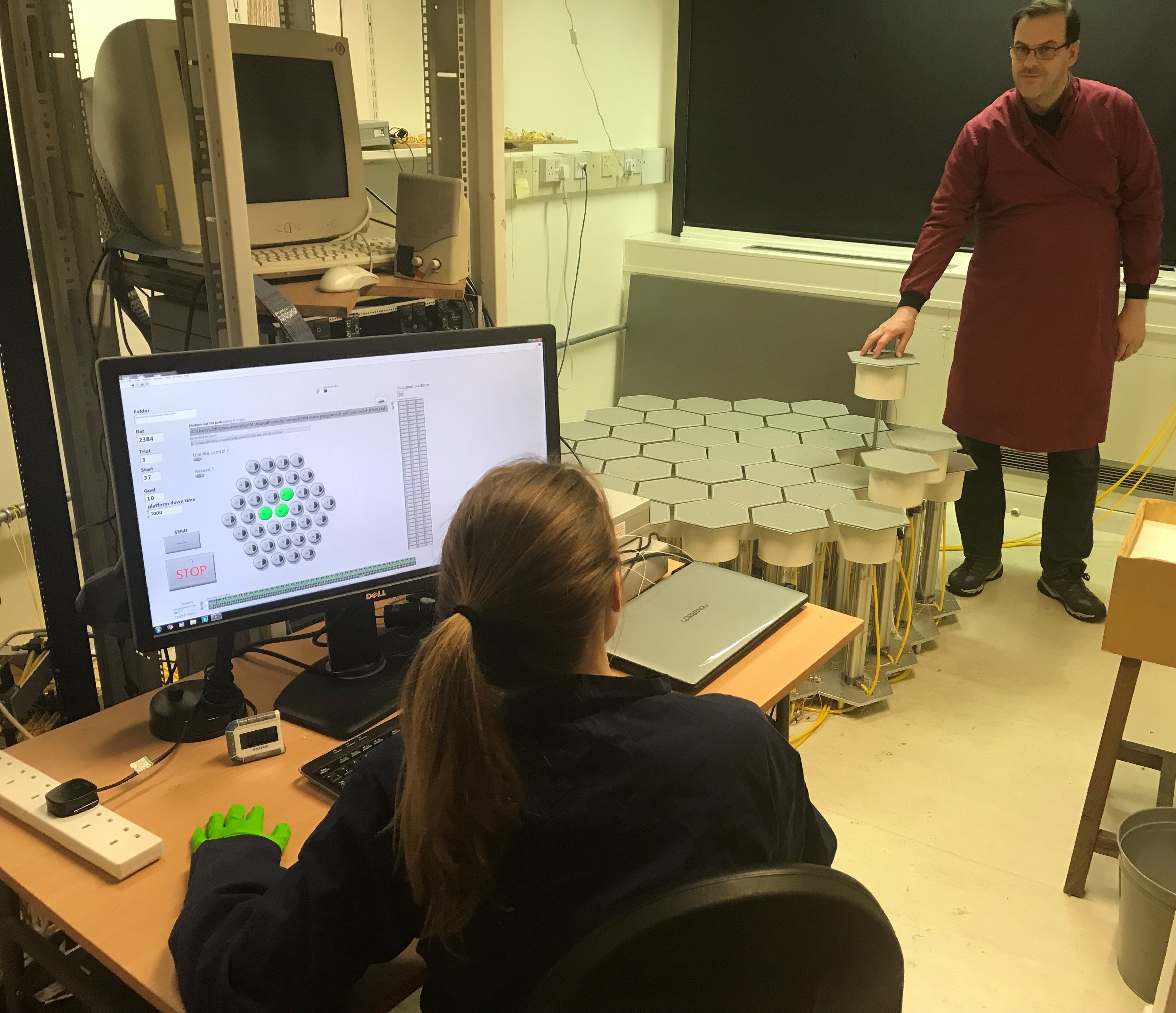 Dr. Ruth A Wood, MRC Clinical Research Training Fellow, Sainsbury Wellcome Centre and Dr. Stephen Burton, Experimental Officer and Lab Manager, Sainsbury Wellcome Centre, with the Honeycomb Maze