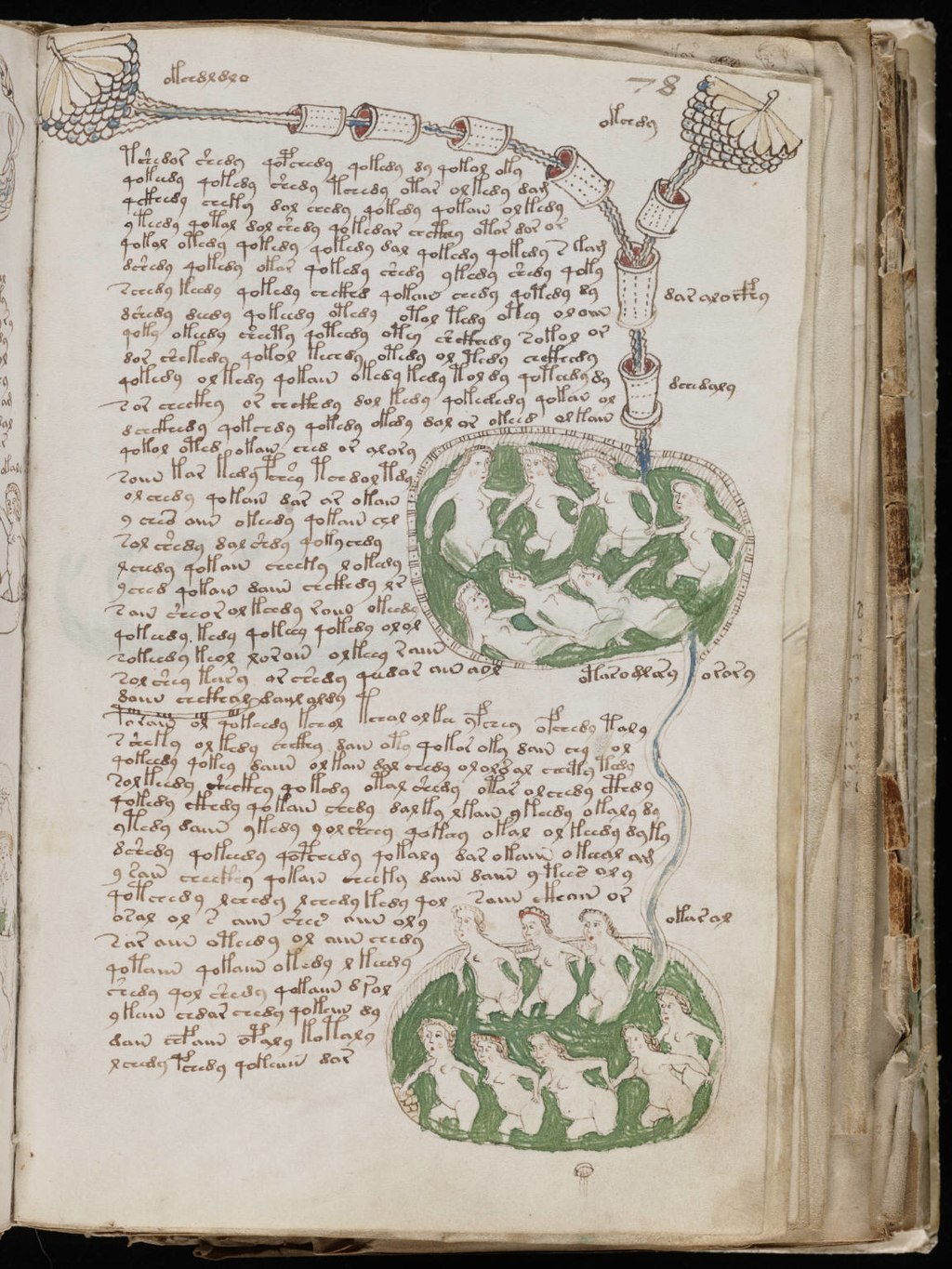 voynich manuscript yale